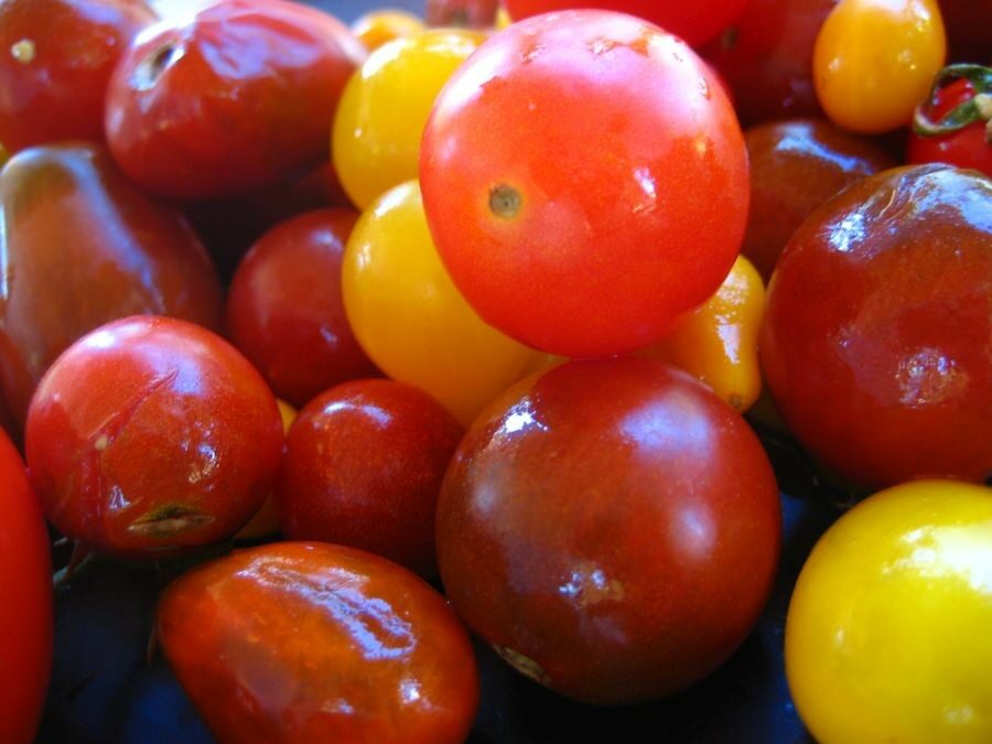 You Say Summer, I Say Tomato
